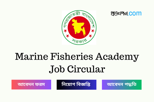 Marine Fisheries Academy Job Circular