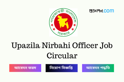 Upazila Nirbahi Officer Job Circular
