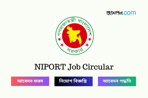 NIPORT Job Circular