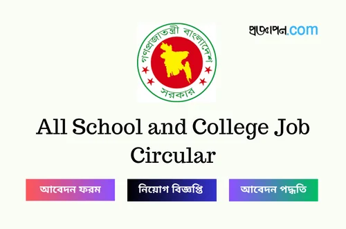 School and College Job Circular
